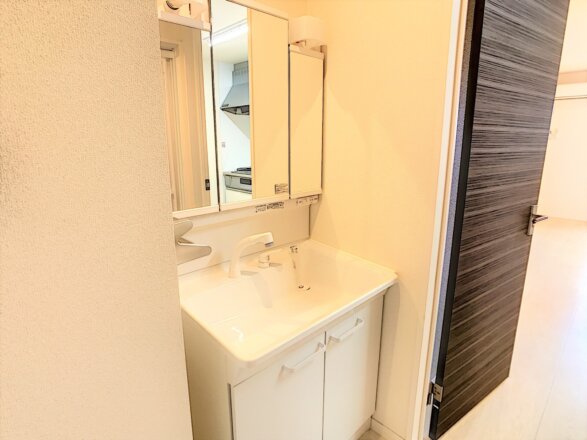 三面鏡のシャワー付き独立洗面化粧台です。